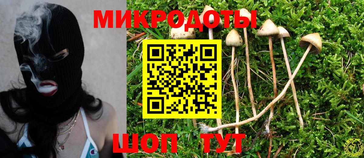 Каменка  где найти   Вход с VPN  Галлюциногенные грибы мухоморы 